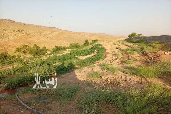 زمین برای ساخت خانه و باغ قیدار روستای منطش - تصویر 2