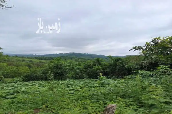 زمین ۲۰۲متری مسکونی اطاقور - تصویر 3