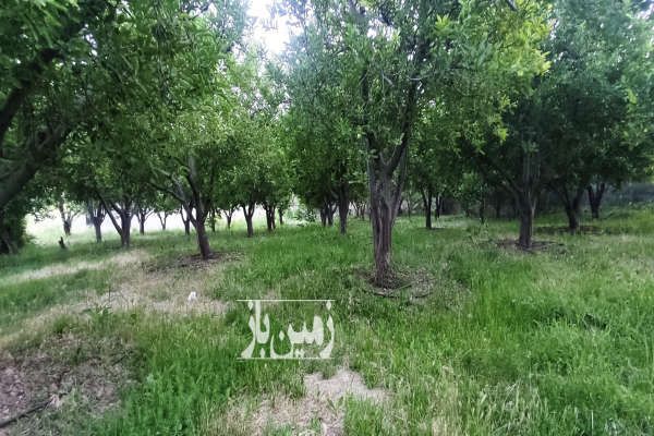 فروس باغ مسکونی در شهر توریستی سیسخت - تصویر 1