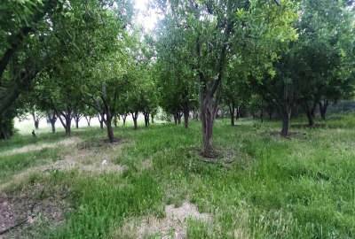 فروس باغ مسکونی در شهر توریستی سیسخت