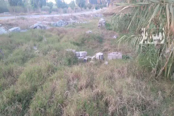 زمین واقع در روستای شیرین بل ۱۱۰ متر - تصویر 2