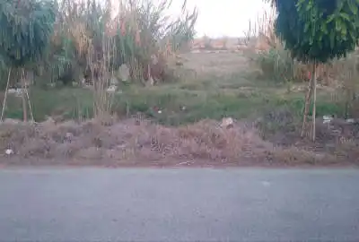زمین واقع در روستای شیرین بل ۱۱۰ متر