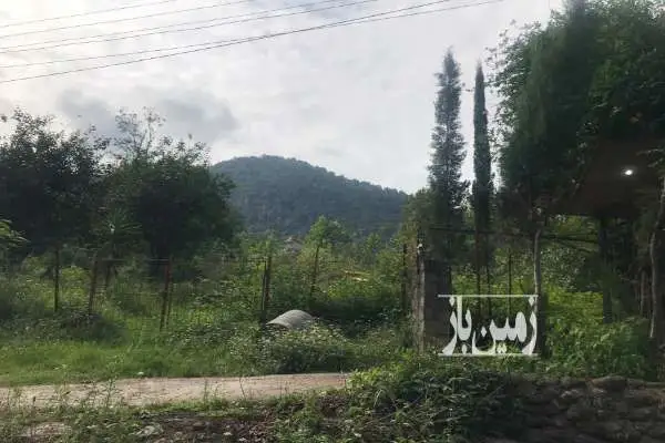 زمین با سند تک برگ ویو ابدی کوه ماسال ۷۵۰ متر - تصویر 2