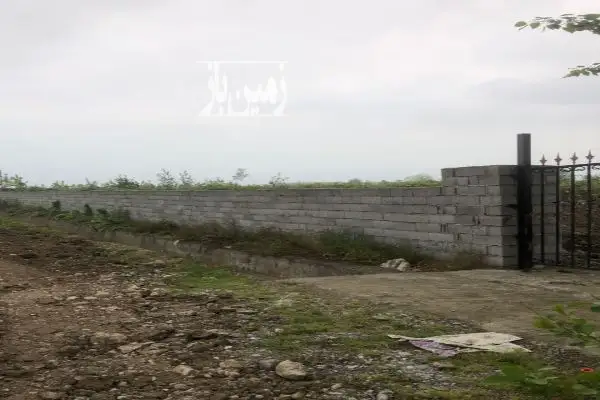 باغ کیوی پرمحصول با امکانات باور نکردنی - تصویر 3