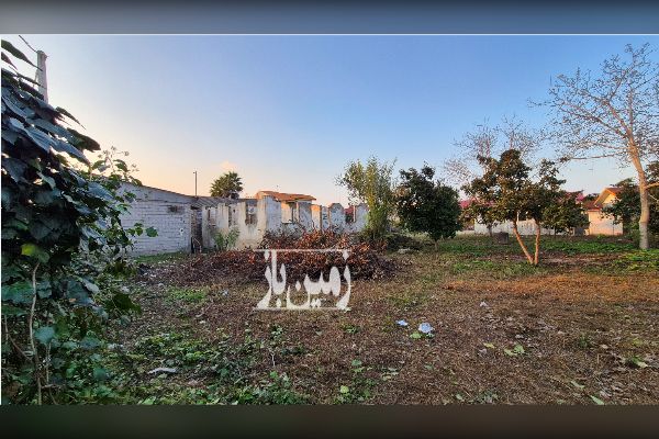 زمین مسکونی نزدیک اتوبان رشت به قزوین - تصویر 4