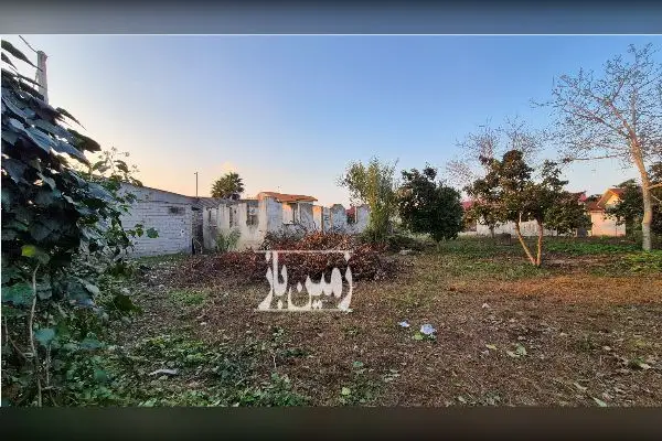زمین مسکونی نزدیک اتوبان رشت به قزوین - تصویر 4