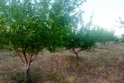 باغشهر تلاش زنجان ۵۰۰ متر