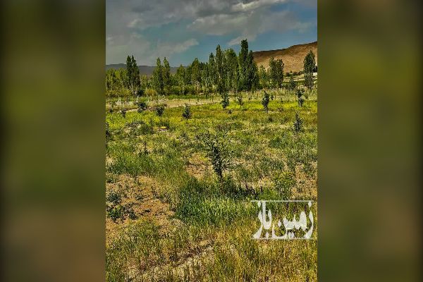 باغ میوه فیروزکوه روستای شهرآباد ۱۵۸۰ متر - تصویر 2