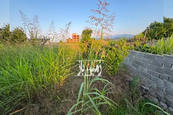 فروش یک قطعه زمین در هلستان نوشهر - تصویر 4