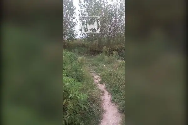 فروش زمین به متراژ ۲۷۵ متر در داخل شهر رودسر - تصویر 3
