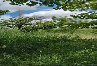 فروش باغ در شاهرود روستای گردشگری ابر