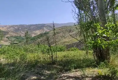 زمین کشاورزی در امیدآباد سراب