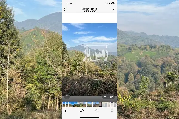 زمین باغی در لوکشین خوب لاهیجان ۲۰۰ متر - تصویر 2