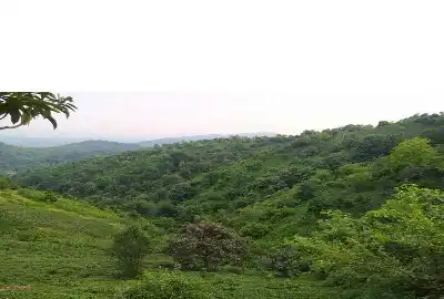 زمین باغی در لوکشین خوب لاهیجان ۲۰۰ متر