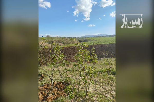 فروش باغ جاده قدیم با صفا ۲۱۰۰ متر - تصویر 2