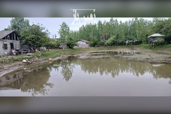 فروش زمین استخر ماهی روستای جیرسر باقر خاله ۴۰۰۰۰ متر - تصویر 2