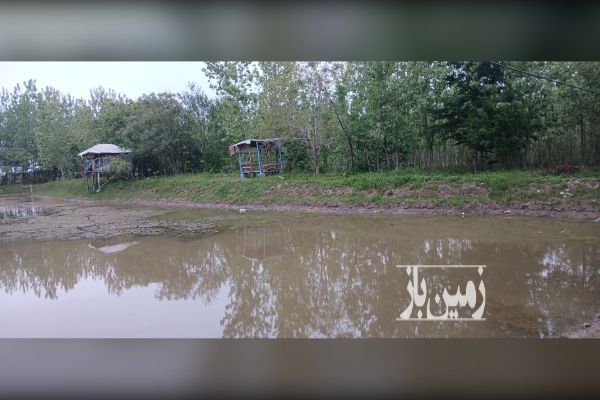 فروش زمین استخر ماهی روستای جیرسر باقر خاله ۴۰۰۰۰ متر - تصویر 3