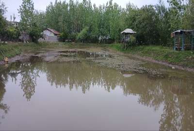 فروش زمین استخر ماهی روستای جیرسر باقر خاله ۴۰۰۰۰ متر