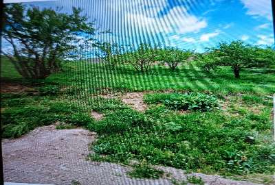 زمین در جاده چالوس کیلومتر ۶۵ روستای ازادبر