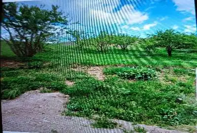 زمین در جاده چالوس کیلومتر ۶۵ روستای ازادبر