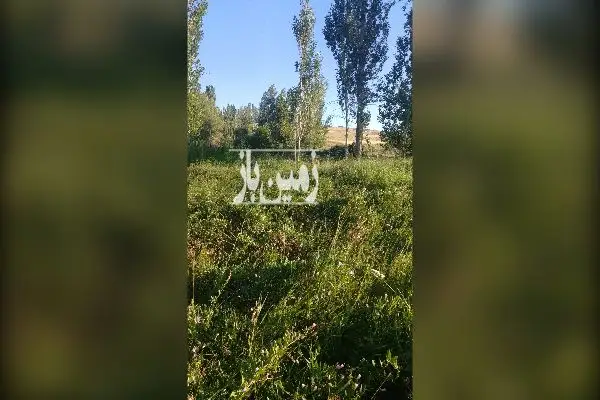 زمین اردبیل خلخال روستای مزجین ۳۰۰۰۰ متر - تصویر 4