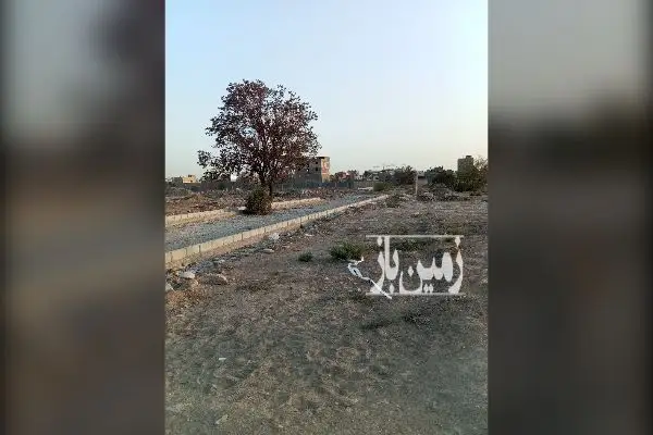 زمین سنددار با قیمت مناسب دربازار ۲۶۰ متر - تصویر 3