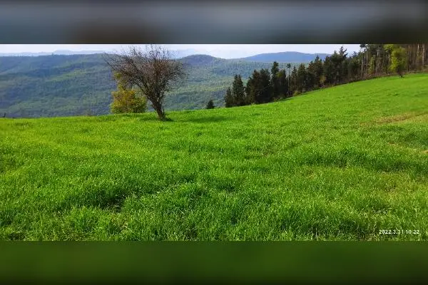 زمین ییلاقی بیرون محل ویوعالی ۷۵۰ متر - تصویر 2