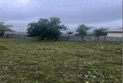زمین تک برگ سند کاربری باغات ۳۰۰ متر