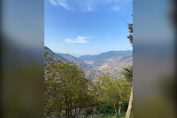 فروش زمین با سند در روستای شاهزید آمل مشرف به سد - تصویر 2
