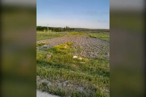 فروش زمین با قیمت مناسب در اردبیل ۳۳۰ متر - تصویر 4