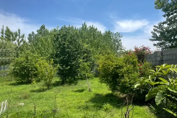 فروش زمین با موقعیت عالی در محدوده تالار مجلل رشت - تصویر 4