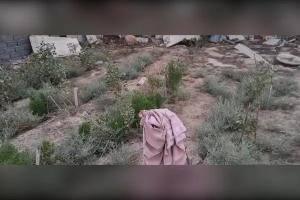 فروش باغچه ۳۹۰ متری در کهریزک - تصویر 3