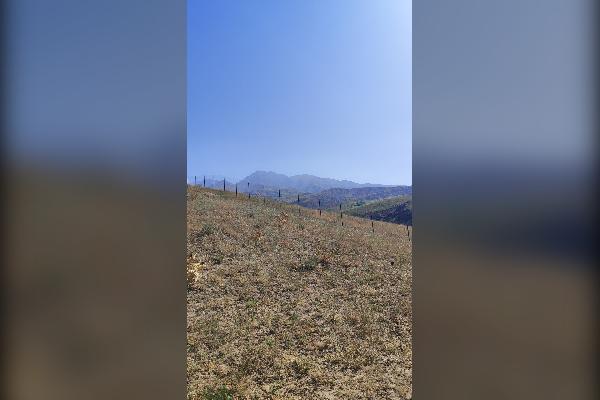 فروش زمین در کنار سد طالقان ۸۷۰۰ متر - تصویر 2