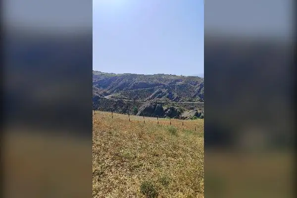 فروش زمین در کنار سد طالقان ۸۷۰۰ متر - تصویر 4