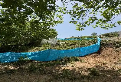 فروش زمین در گلوگاه روستای سماکوش محله ۲۳۰ متر