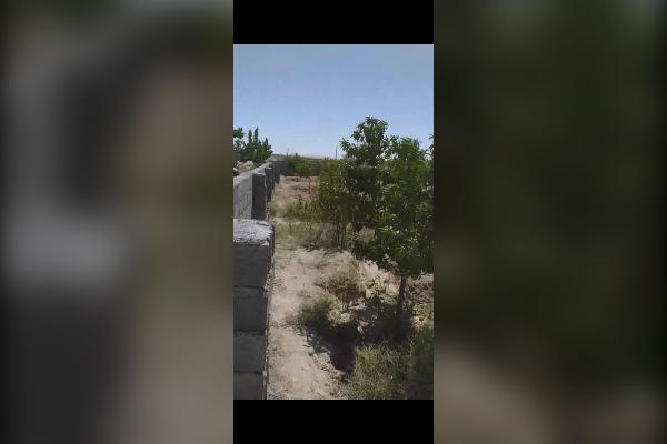 باغ ۱۰۰۰ متر با سهمیه آب و دیوارکشی کامل اصغرآباد - تصویر 2