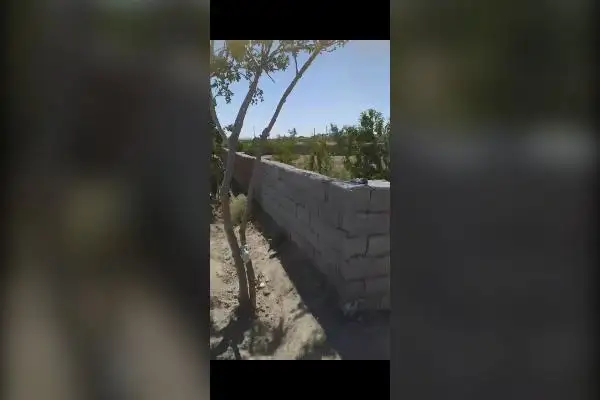 باغ ۱۰۰۰ متر با سهمیه آب و دیوارکشی کامل اصغرآباد - تصویر 3