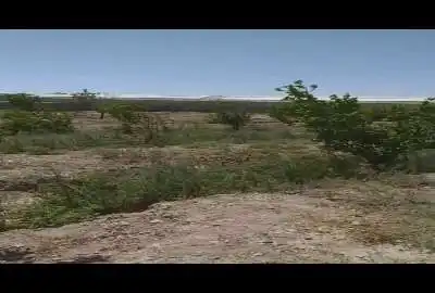 باغ ۱۰۰۰ متر با سهمیه آب و دیوارکشی کامل اصغرآباد