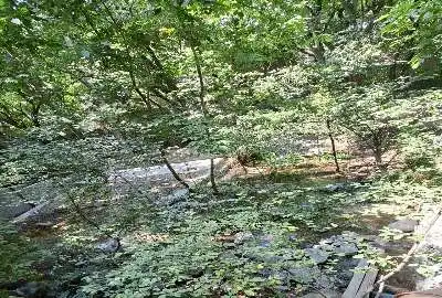 باغچه کردان سیبان دره ۲۸۲ متر