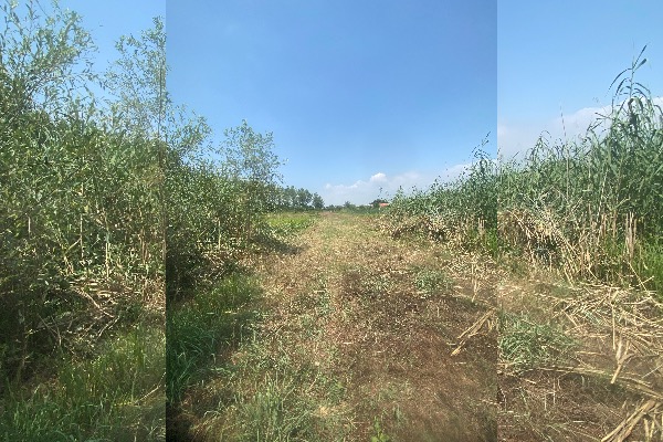 زمین ۱۴۰۰ متری سد خاکی سقالکسار رشت - تصویر 3