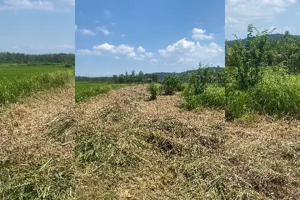 زمین ۲۳۰۰ متری رشت نزدیک سدخاکی سقالکسار - تصویر 2