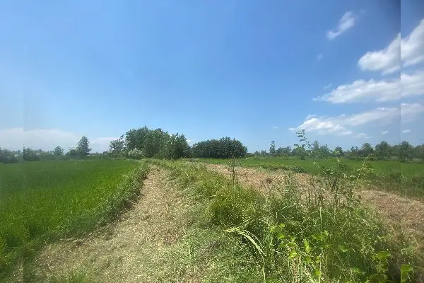 زمین ۲۳۰۰ متری رشت نزدیک سدخاکی سقالکسار - تصویر 3