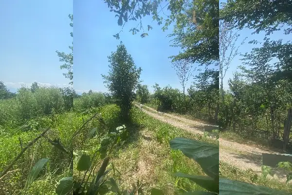 زمین ۲۳۰۰ متری رشت نزدیک سدخاکی سقالکسار - تصویر 4