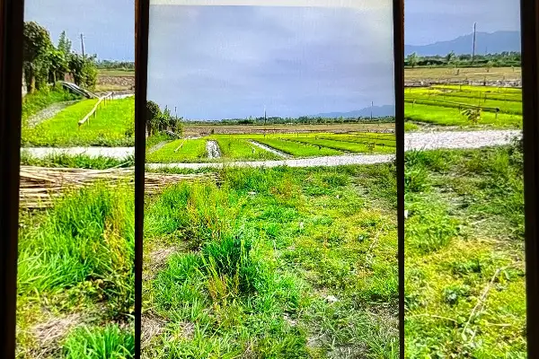 زمین ۳۵۰ متر روستای حسن آباد لنگرود - تصویر 2