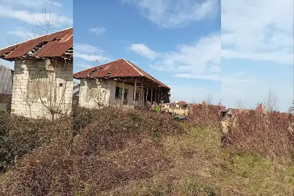 زمین ۳۵۰ متر روستای حسن آباد لنگرود - تصویر 3