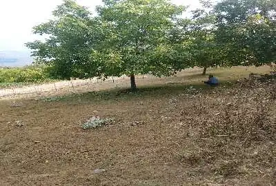 زمین مسکونی با پروانه ساخت ۲۵۰ متر
