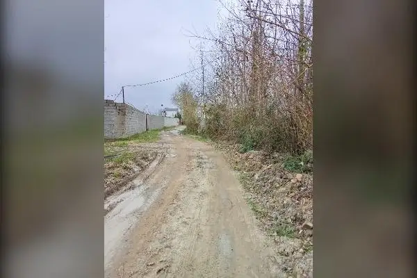 زمین مسکونی پیربازار روستای محمداباد - تصویر 2