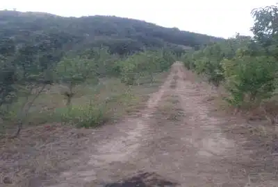 فروش ومعاوضه باغ گالیکش روستای ابپران ۳۷۵۰ متر