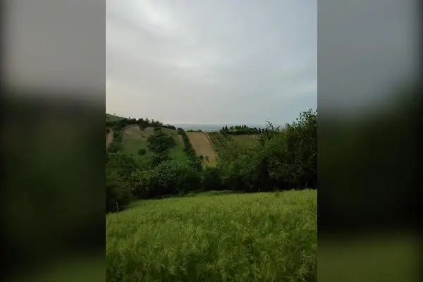 زمین کشاورزی مازندران بهشهر شهید آباد - تصویر 1
