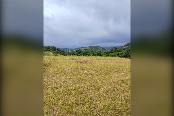 فروش زمین زراعی ۴۵۰ متر قائمشهر روستای ریکنده - تصویر 1